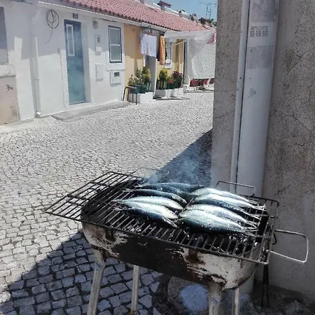 Casa Da Andorinha - Swallow S House Διαμέρισμα